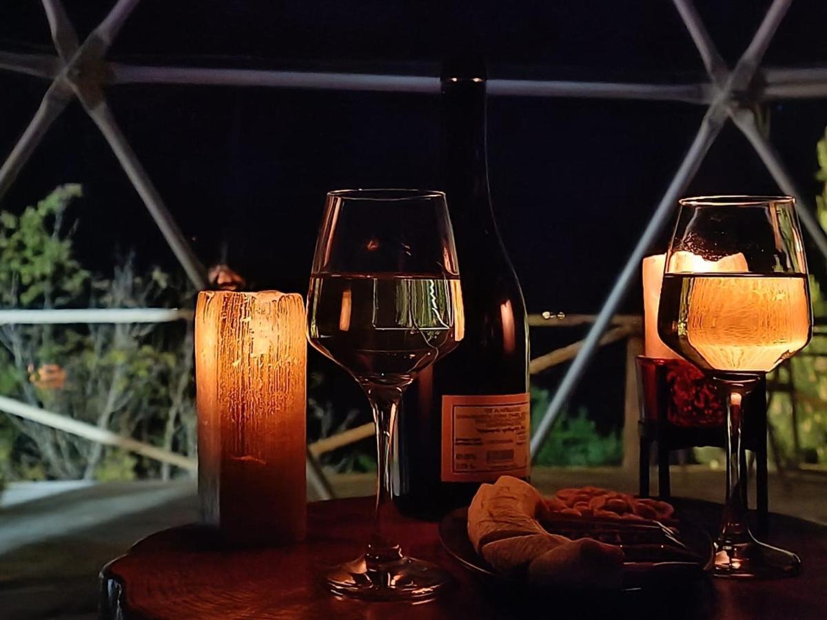 Paradise Inn Gegelidzeebi 외부 사진