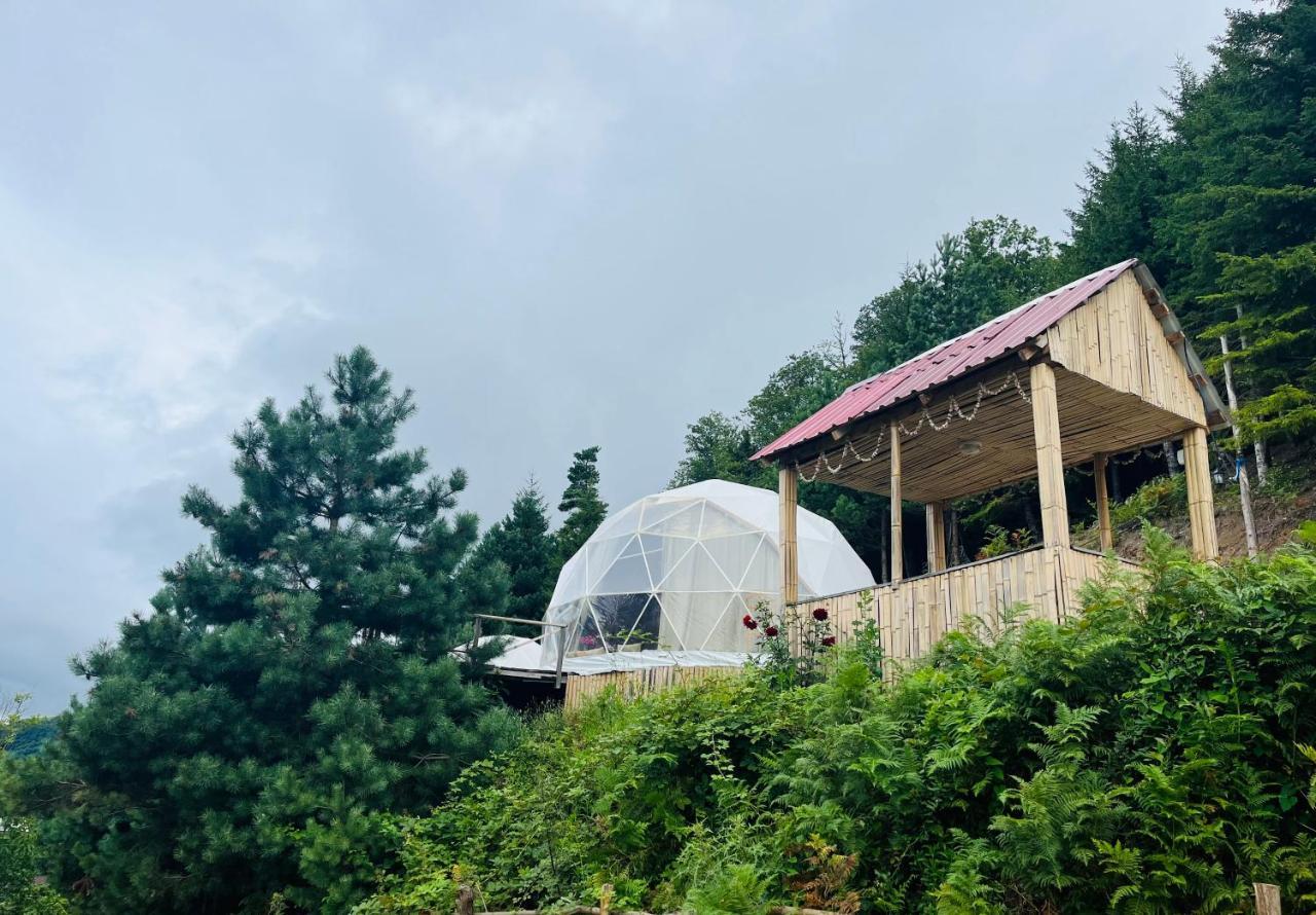Paradise Inn Gegelidzeebi 외부 사진