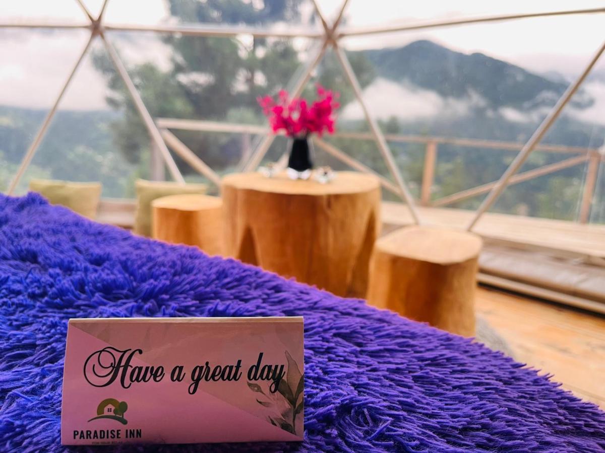 Paradise Inn Gegelidzeebi 외부 사진