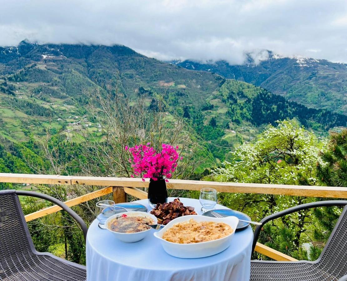 Paradise Inn Gegelidzeebi 외부 사진