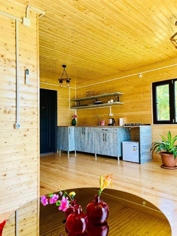Paradise Inn Gegelidzeebi 외부 사진
